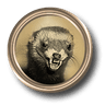 Eager Ferret