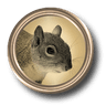 Eager squirrel