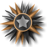 Tricontaregion star
